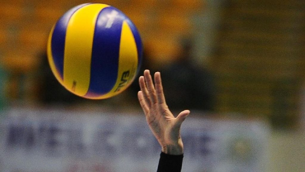 01ae8e25-033b-410f-bd55-7b0549d132c3_169